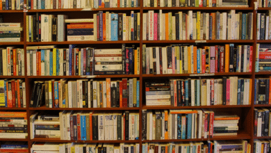 Descubre cómo la IA mejora tu productividad en los estudios con estas 10 herramientas innovadoras que facilitan el aprendizaje y maximizan la eficiencia.